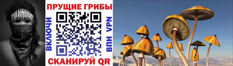Галлюциногенные грибы Cubensis  Мариинск 